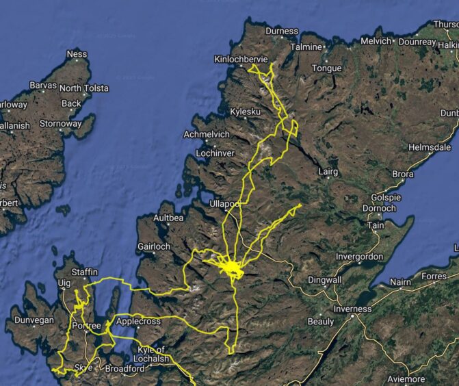 White-tailed eagle Lachan's incredible flight path over north-west Scotland mapped. 