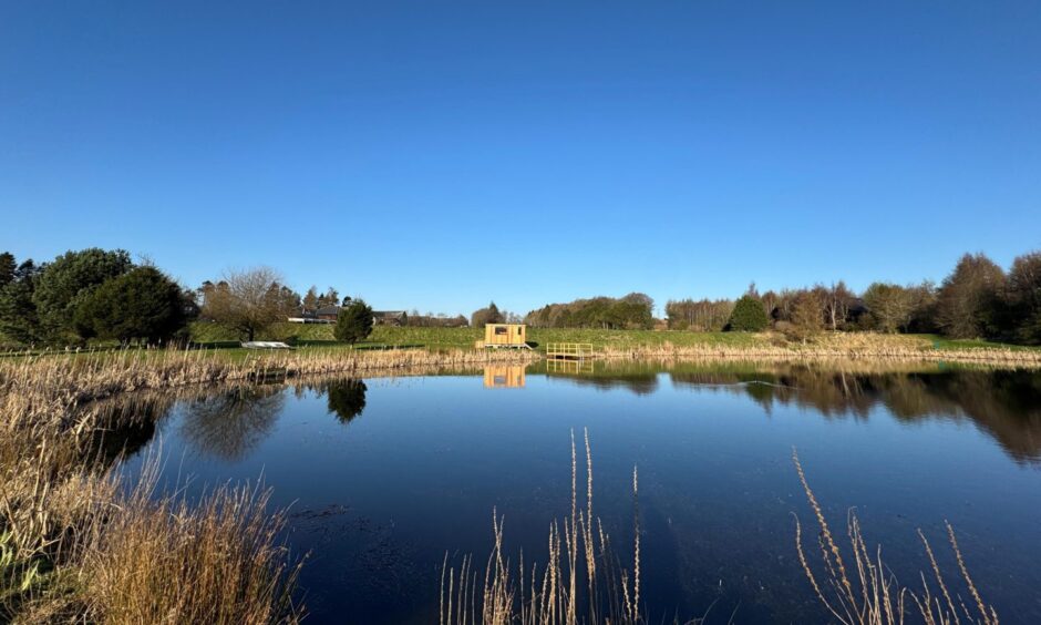 Wild swimming at Forbes of Kingennie resort in Angus