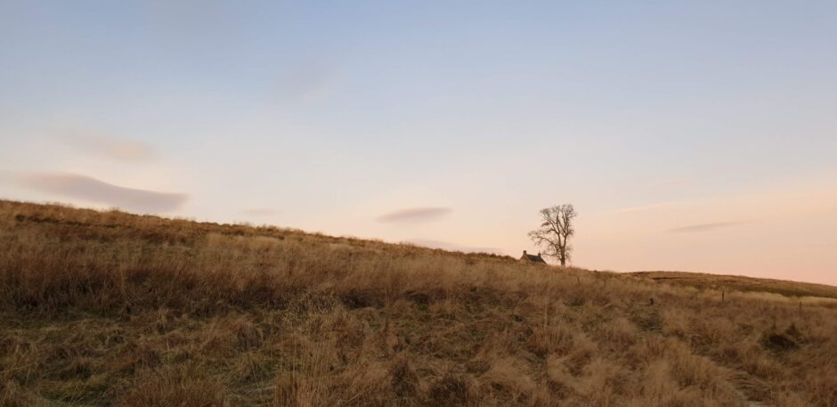 Moorland at sunset with one small ruined house and tree on hillside