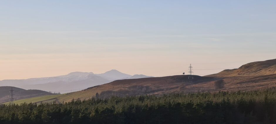 Hillside with pylons and mountains in distance