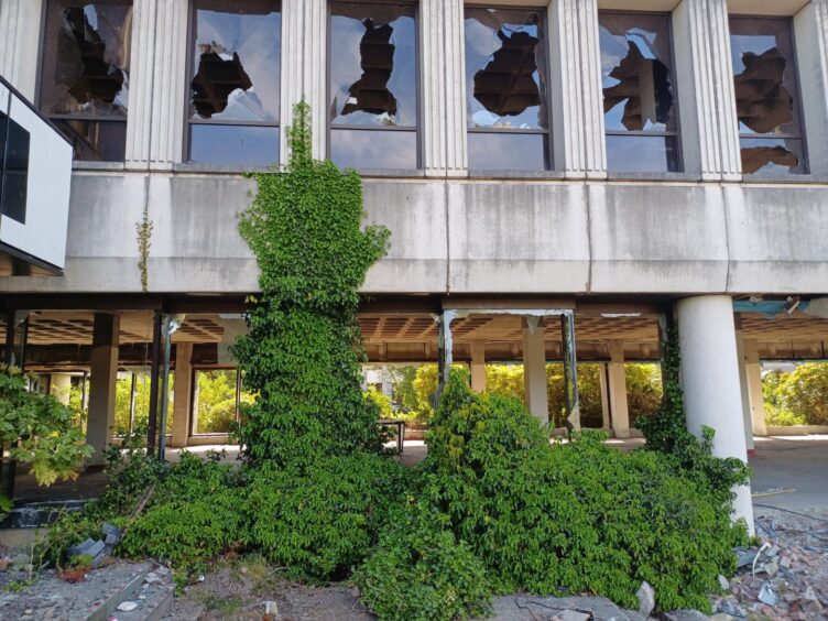 Plants growing into the abandoned building