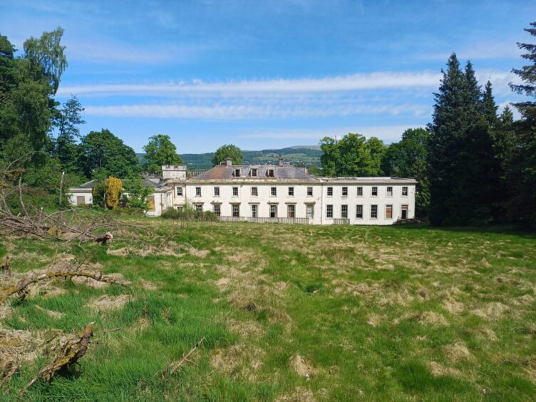 Overgrown grass beside the former stately home