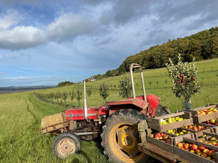 A tractor and trailer in a field.