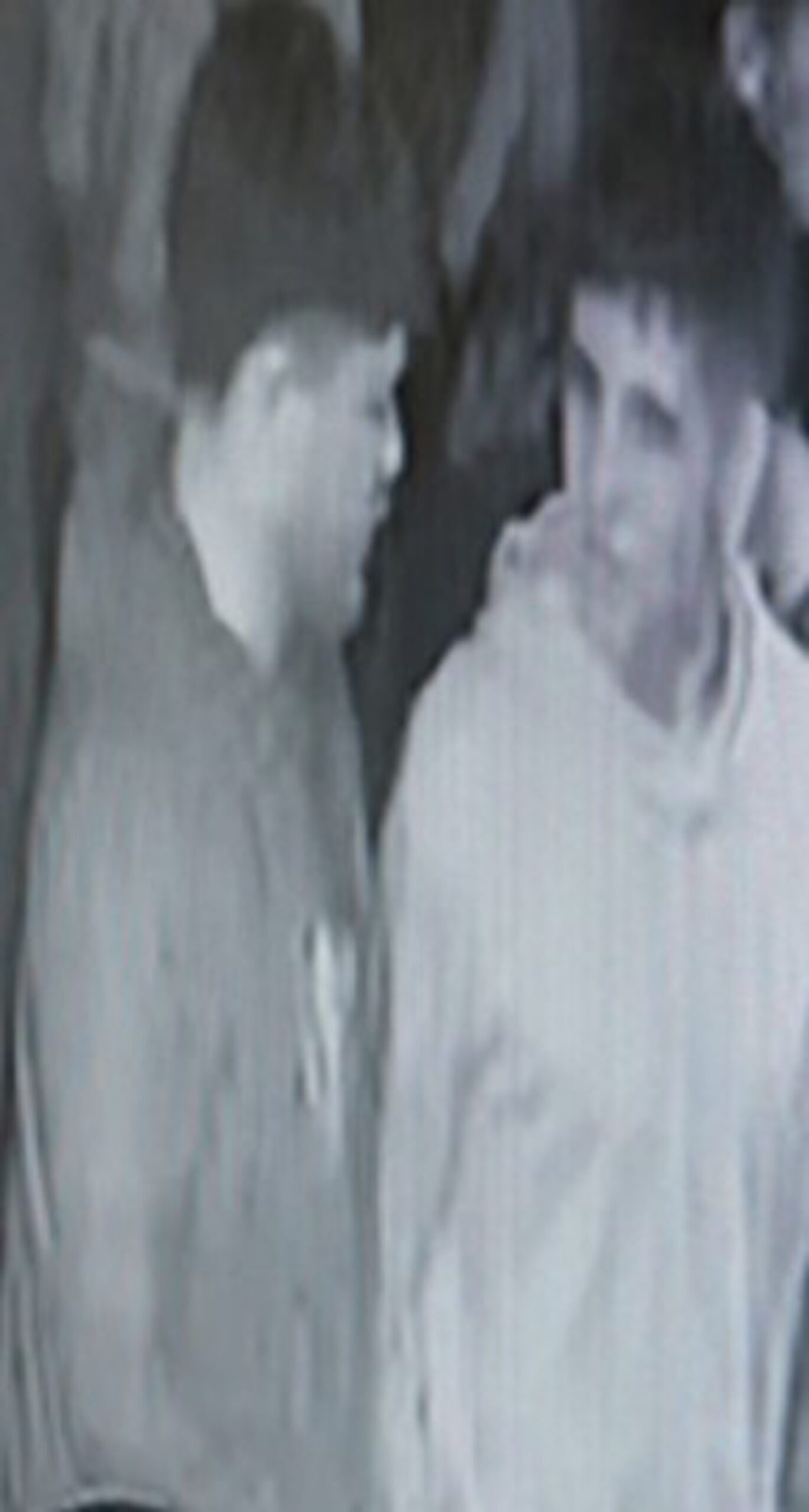 CCTV footage of two men in Dunfermline. 