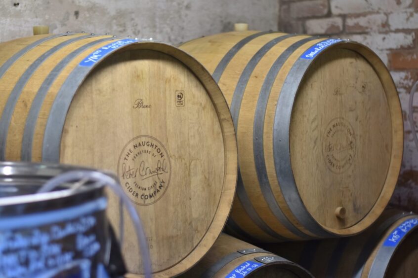 Oak barrels in a shed.