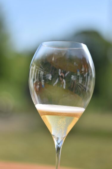 A glass full of cider.