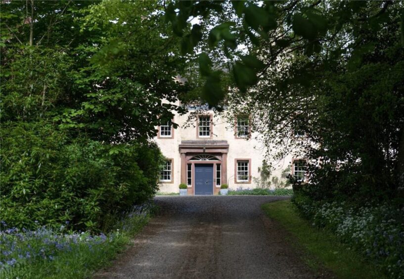 The driveway. 