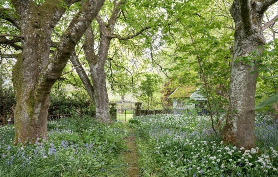 Woodland gardens