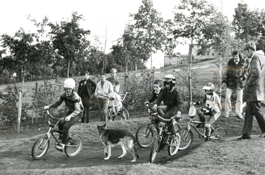A dog provides another obstacle for riders at the BMX track in November 1984.