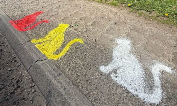 Some of the cat art that has appeared on roadsides in Fife and caused fevered speculation.