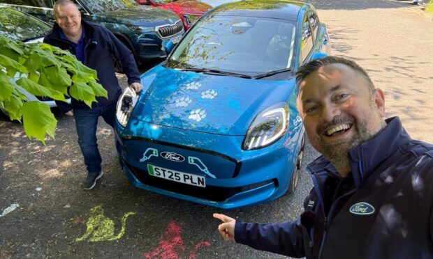 The Fife cat art has been revealed to be a viral marketing campaign by local dealership Your Ford Centre. Image: Stuart Prentice.