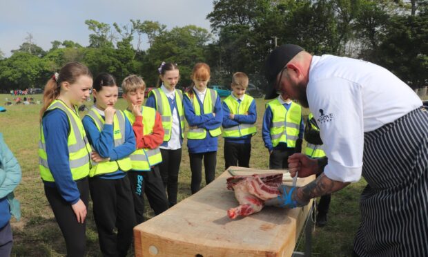 Youngsters learn about red meat at Balgove Larder