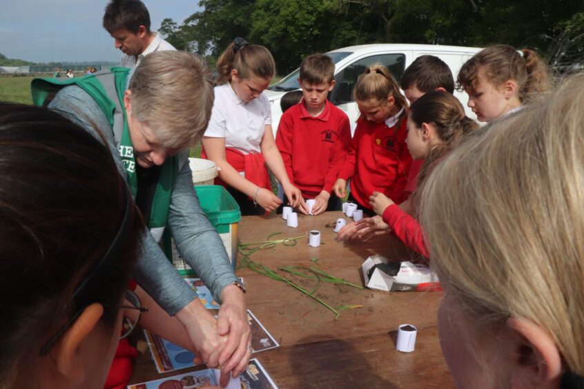 Youngsters get hands-on at Balgove.
