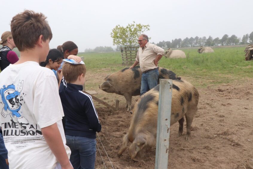 This session was all about pigs.