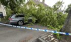 A tree appears fell on a car parked on Findlay Crescent in Rosyth.