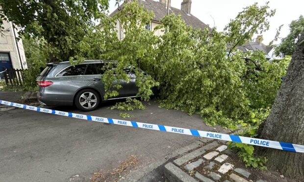 A tree appears fell on a car parked on Findlay Crescent in Rosyth.