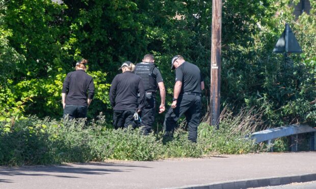 Officers searching the grass verging on Stannergate Road.