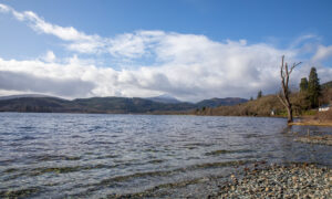 Loch Ard is located between Aberfoyle and Kinlochard. Image: Kenny Smith/DC Thomson