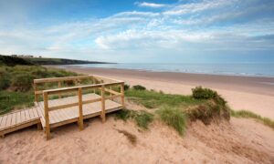 The new platform will offer stunning views across Lunan Bay. Image: Visit Scotland