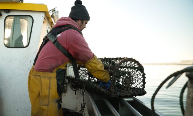 MFV Tina Louise owner Ross Coventry hard at work on his creel boat. Image: MFV Tina Louise