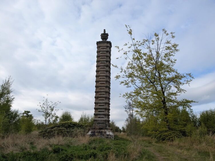 Panmure estate commemorative column
