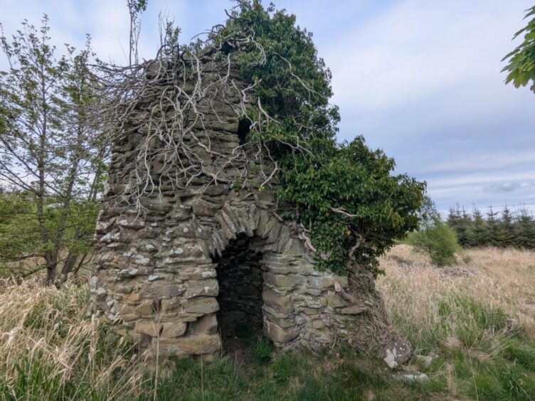 The abandoned 'tower' on Panmure estate.