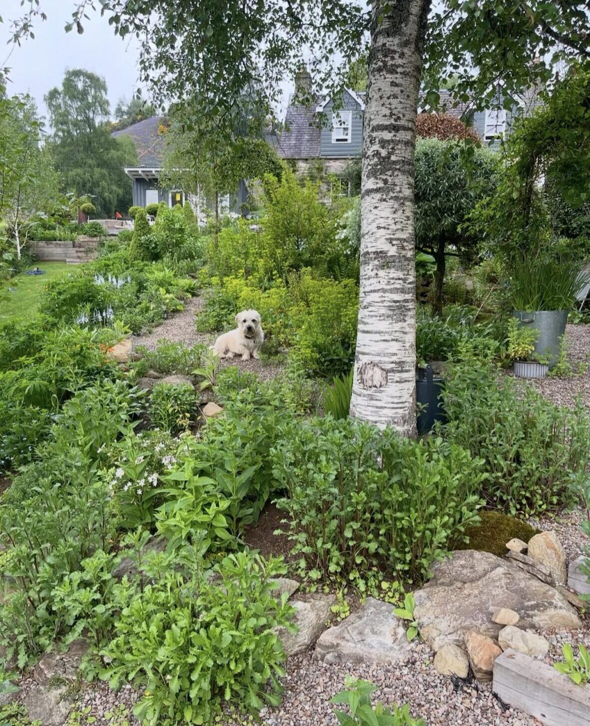 Penny's garden.