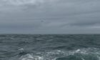 A medivac took place from the vessel off the Angus coast.