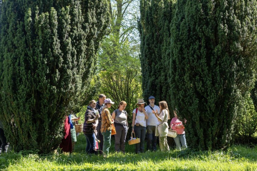 A group of foragers stand around some trees.