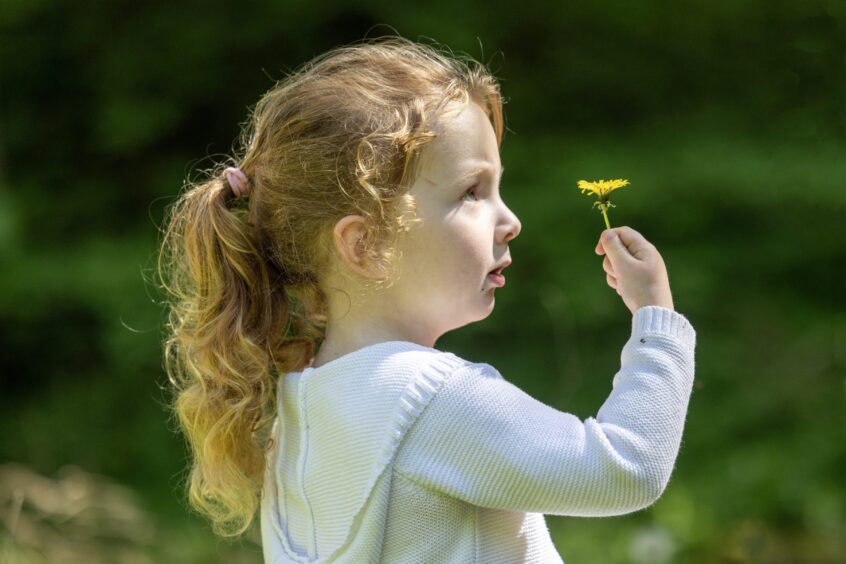 A young girl holding up a dandelion flower.