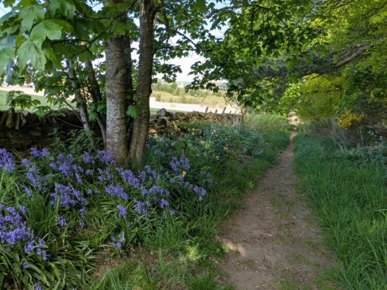 Restenneth Priory links to the Forfar Path Network. 