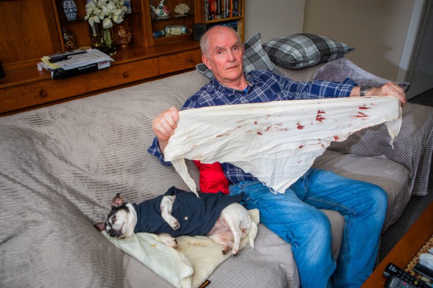 Norman Hawkes holding white cloth covered in blood while small dog lies on sofa beside him