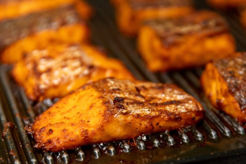 Fillets of marinated salmon on a baking tray.