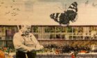 Close up of Great Living Wall concept design for Eden Project. Image: Steve Brown/DC Thomson