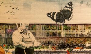 Close up of Great Living Wall concept design for Eden Project. Image: Steve Brown/DC Thomson