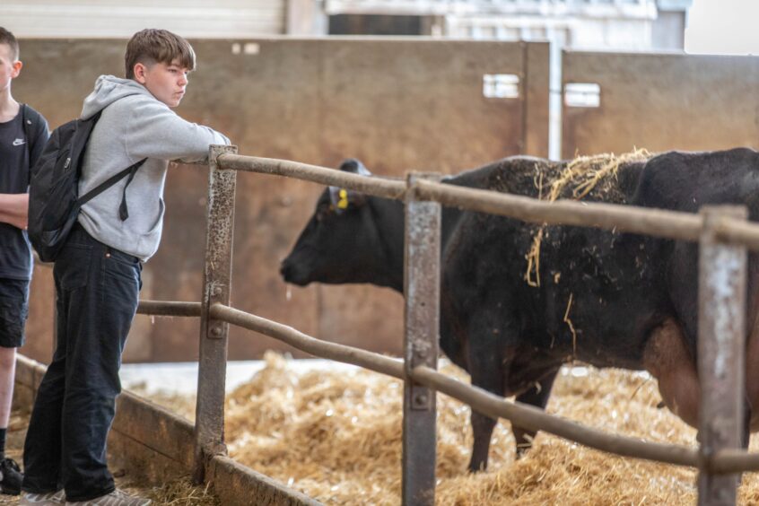 A budding young farmer at Hilltarvit Mains