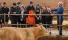 Farmer Ian Brunton explains the importance of beef farming at Hilltarvit Mains Farm
