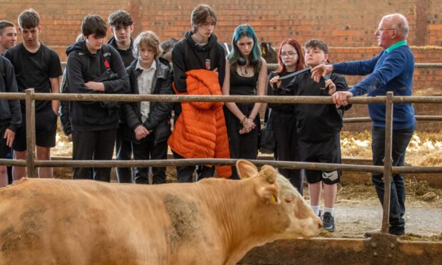 Farmer Ian Brunton explains the importance of beef farming at Hilltarvit Mains Farm