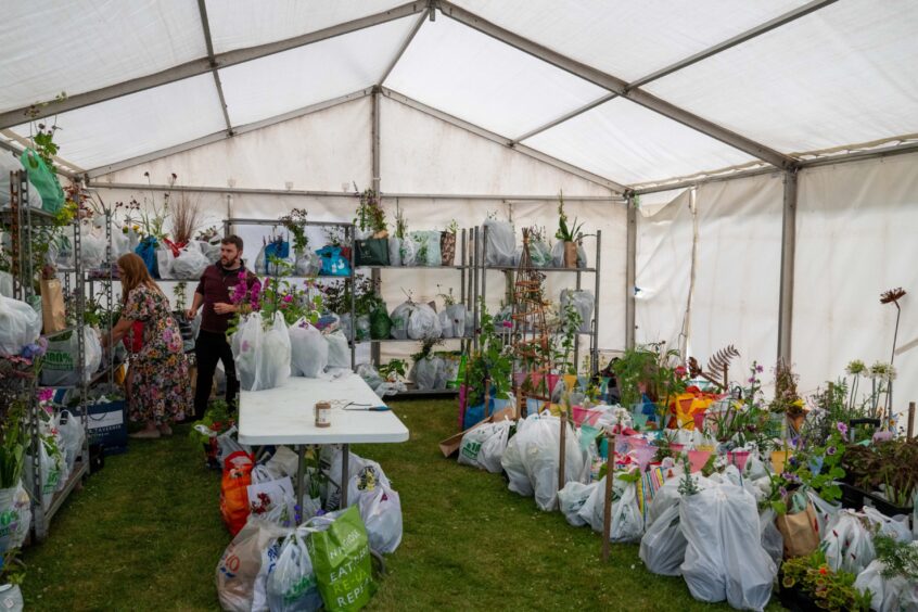 Lots of plants in bags on ground and on shelves
