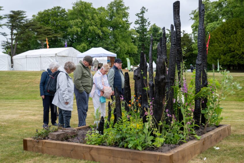 Visitors admiring garden display