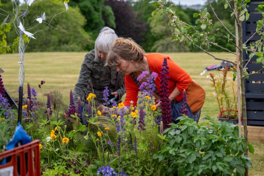 Women kneeling over to look closely at display of plants