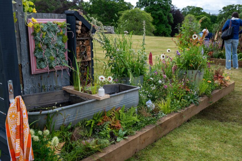 Garden display with tin bath