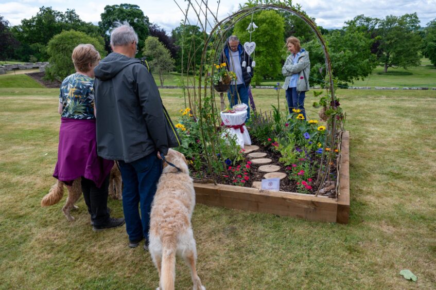 People looking at small space garden display