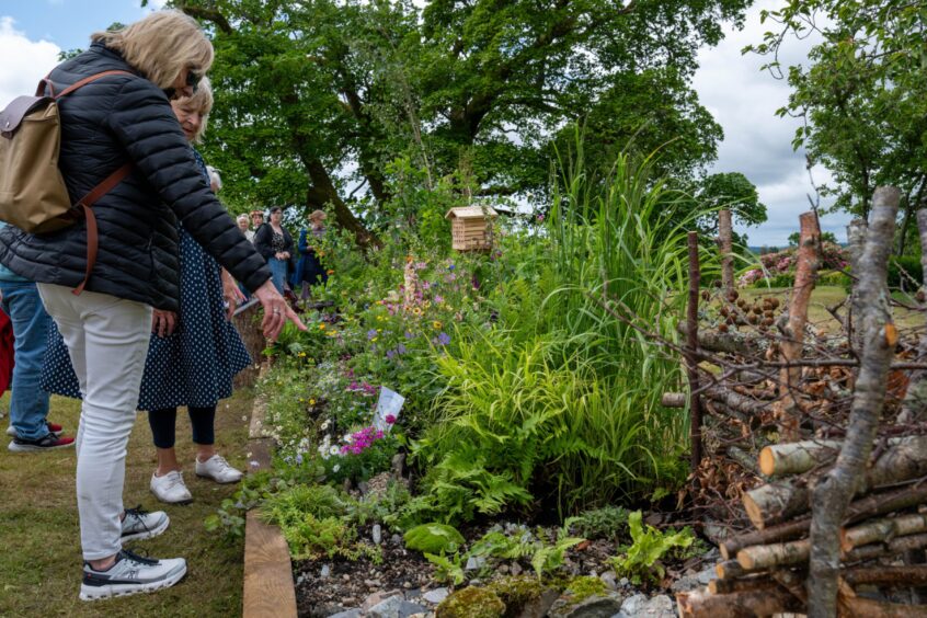 People looking at garden display