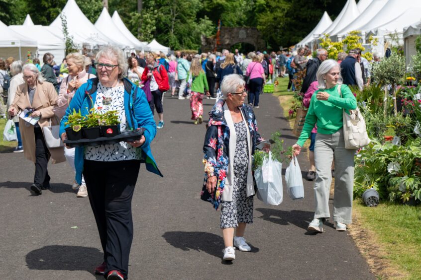 Women walking through crowd carrying trays and bags with plants