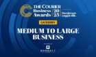 Medium to large business banner