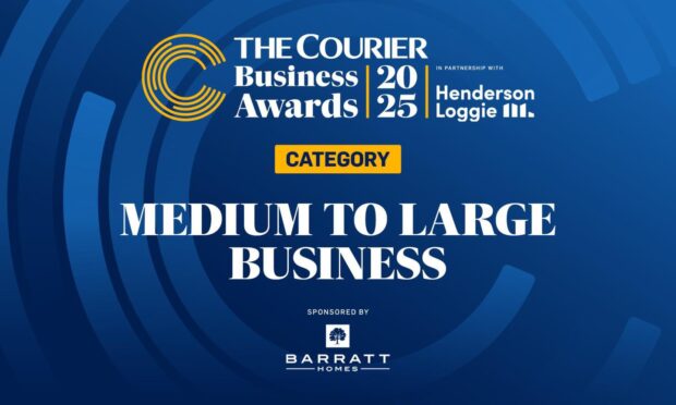 Medium to large business banner