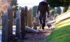 Some feel it is time for a complete ban on dogs in cemeteries. Image: DC Thomson
