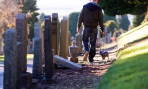Some feel it is time for a complete ban on dogs in cemeteries. Image: DC Thomson