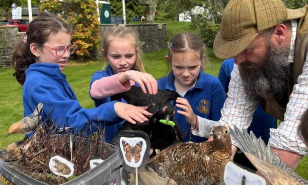 Perthshire youngsters learned about many aspects of rural life at Findynate Estate.